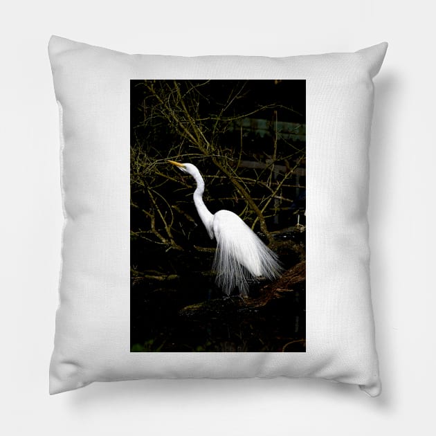 Breeding Great Egret Pillow by GP1746