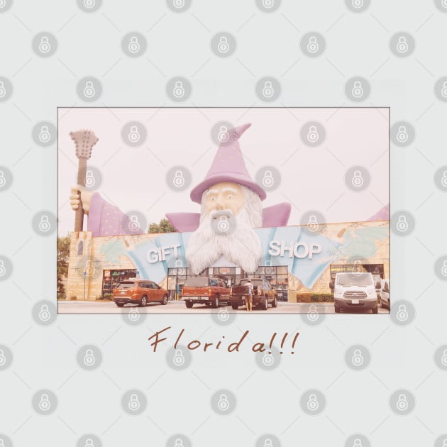 Florida!!! by MickeysCloset