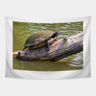 Turtle Tapestry