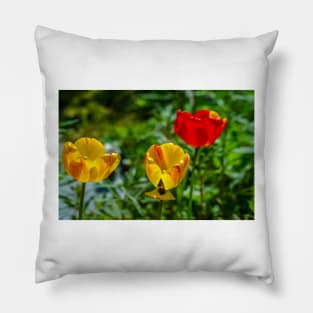 Springtime In Alaska Pillow