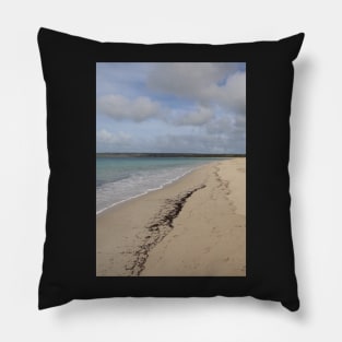 Antechamber Bay Pillow