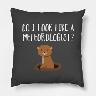 Do I Look Like A Meteorologist? Groundhog Day Funny Pillow