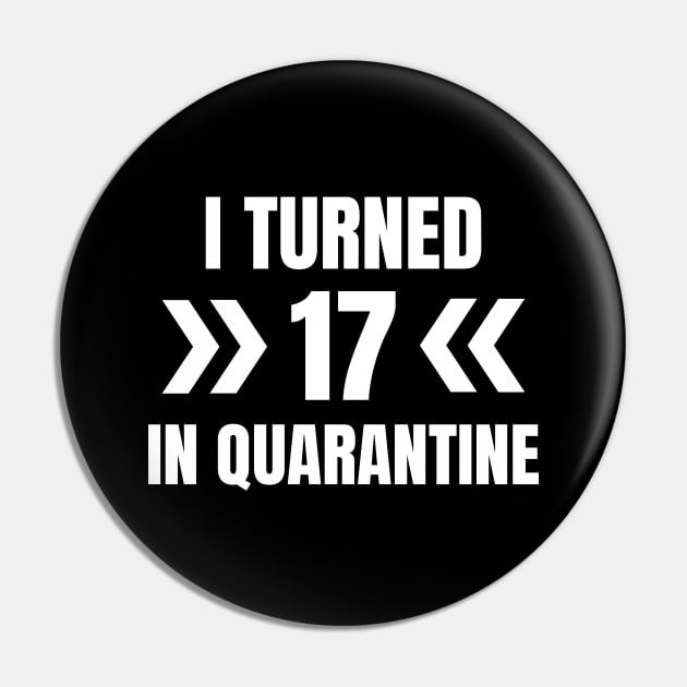 I Turned 17 In Quarantine Pin by LunaMay