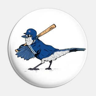 Pin on Toronto blue jays