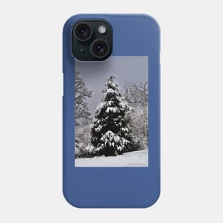 Southern Illinois Winter Scene 5_ Dec 2012 Phone Case