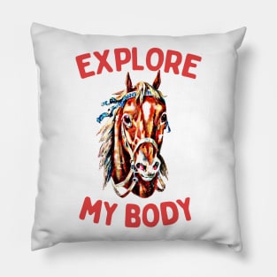 EXPLORE MY BODY Pillow