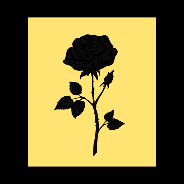 black rose by minimalstore
