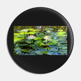 Pond with waterlilies Pin