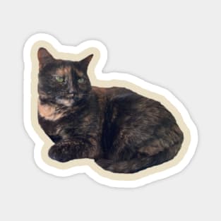 Tortie Cat Magnet