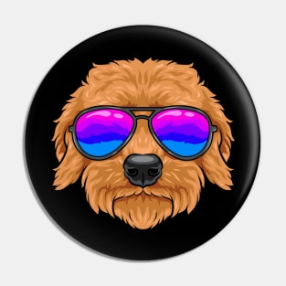 Goldendoodle - cute dog with glasses. Pin