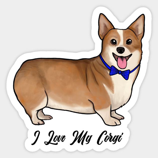 corgi bow tie