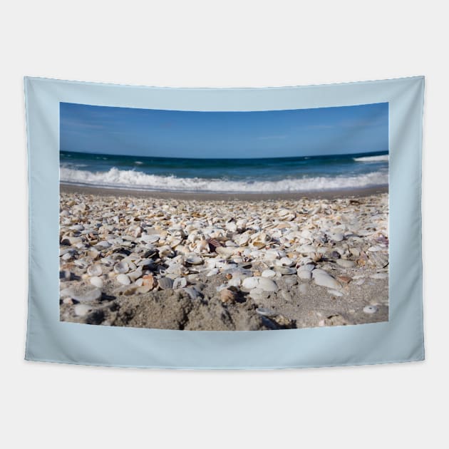 shells on the beach Tapestry by sma1050