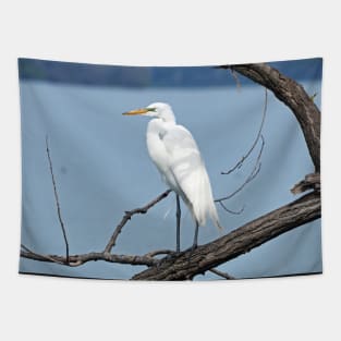 Great Egret / Great White Heron Sitting On a Tree Branch Tapestry