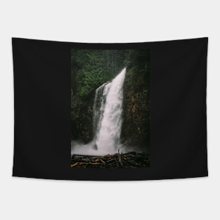 Franklin Falls PNW Waterfall Tapestry