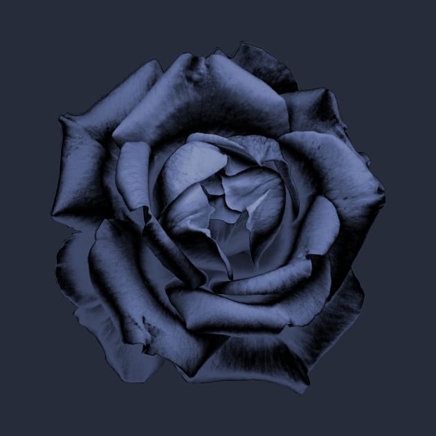 Blue Charcoal Rose by nautilusmisc