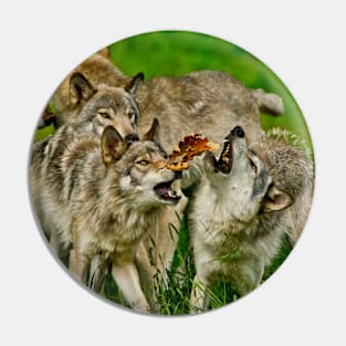 Timber Wolves Pin