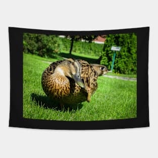 Scratching Duck Tapestry
