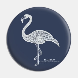 Flamingo with Common and Latin Names - line art bird design Pin