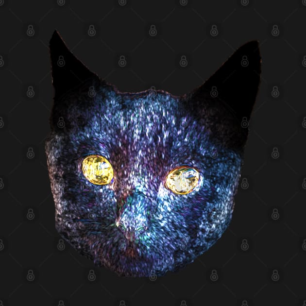 black cat by rickylabellevie