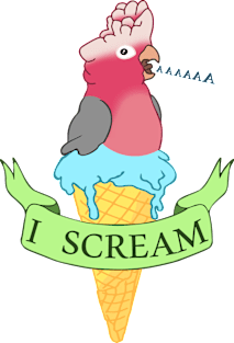 I scream Ice cream Galah Cockatoo Magnet