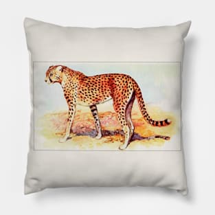 Cheetah illustration Pillow