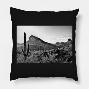 Cactus In The Sun In Black And White Pillow