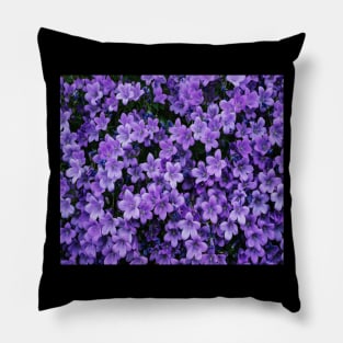 Purple Petaled Flower at daytime Pillow