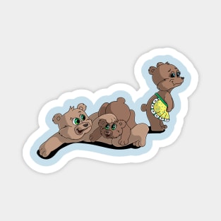 Bears Magnet