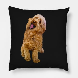 Cavapoo kisses ! Cute Cavapoo Cavoodle puppy dog with open mouth and tongue out - cavalier king charles spaniel poodle, puppy love Pillow