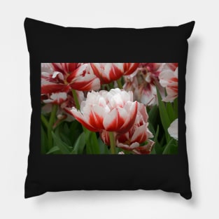 tulips Pillow