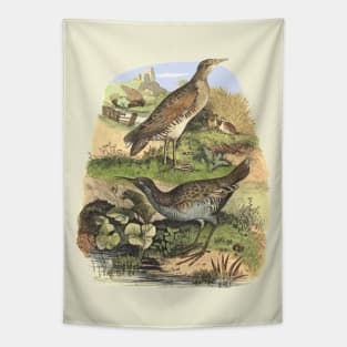 Birds on the landscape background Tapestry