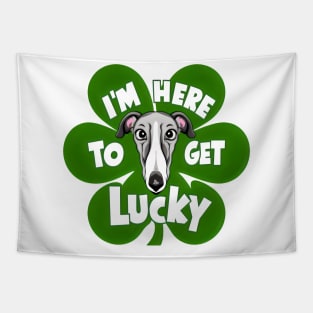 I'm Here to Get Lucky Greyhound Dog in Clover Leaf Tapestry