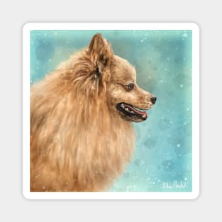 Painting of a Pomeranian Do with Golden Fur on Turquoise Background Magnet