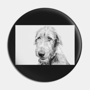 Wolfhound puppy Pin