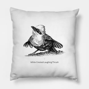 White Crested Laughing Thrush Pillow