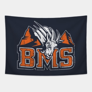 BMS - Blue Mountain State Tapestry