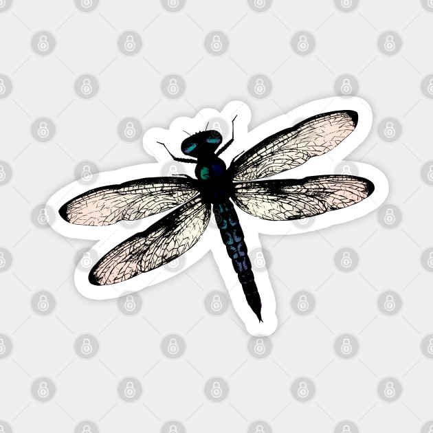 Blue dragonfly vector Magnet by Bwiselizzy