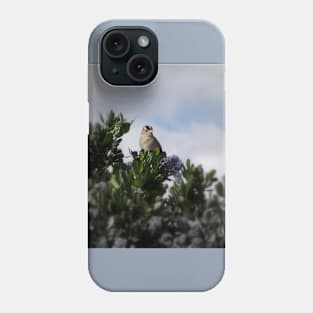 White crowned sparrow in a blue blossom Ceanothus Thyrsiflorus bush 4 Phone Case