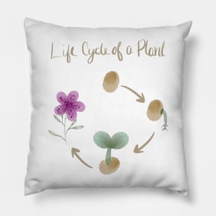 Life Cycle Of A Plant Pillow