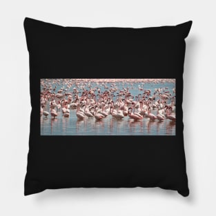 Flamingos and Flamingos..... Pillow