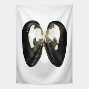 Thick Shelled River Mussel (Unio crassus) Tapestry