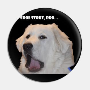 Cool story, bro... Pin