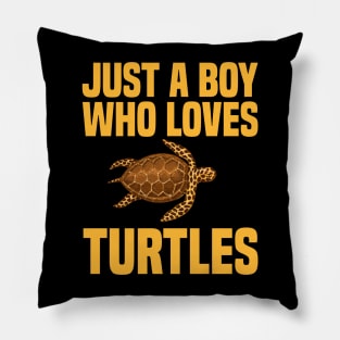 Marine Biologist Biology Turtles Fathers Day Gift Funny Retro Vintage Pillow