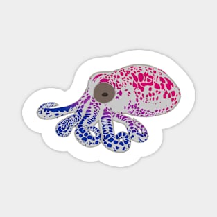 Bi Flag Spotted Octopus Magnet