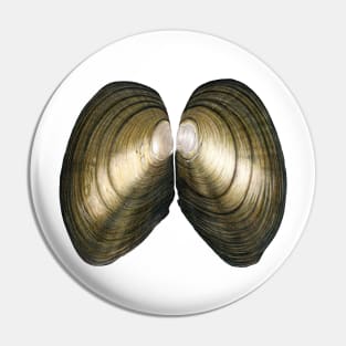 Duck Mussel (Anadonta Anatina) Pin