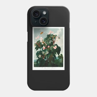 The Oblique–Leaved Begonia Phone Case