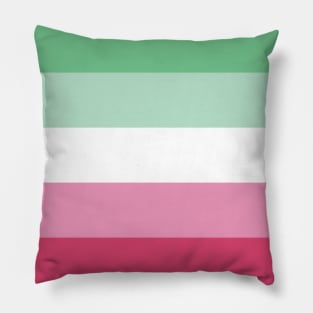 Abrosexual Pride Flag Pillow