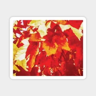 Red Maple Leaves Magnet