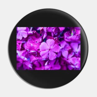 Purple Flower Pin