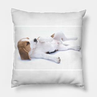 Beagle (4) Pillow